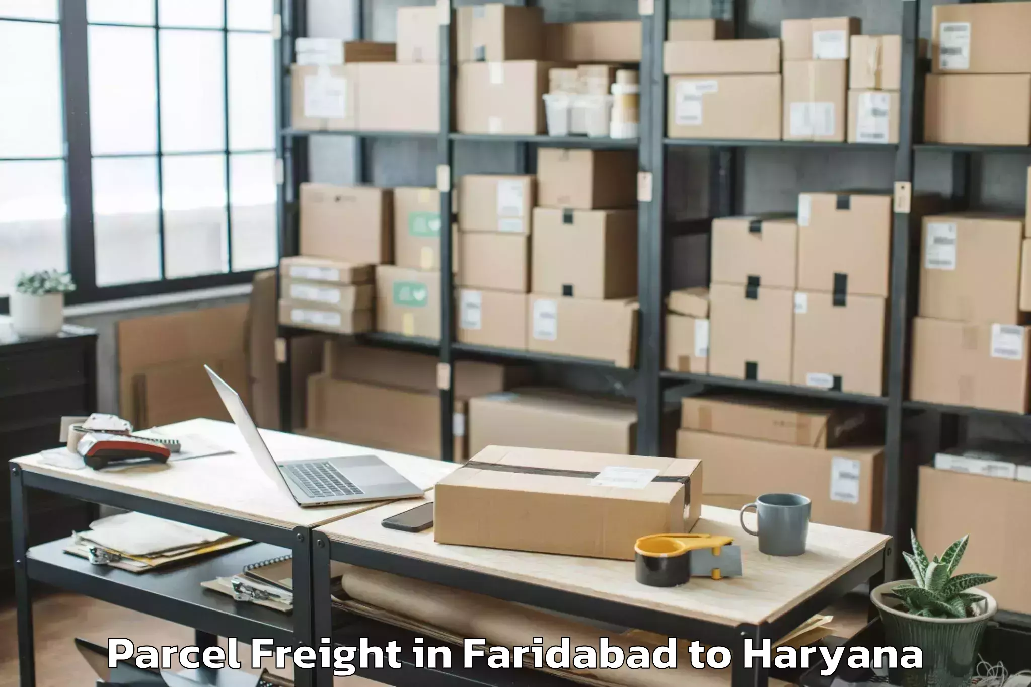 Faridabad to Madhogarh Parcel Freight